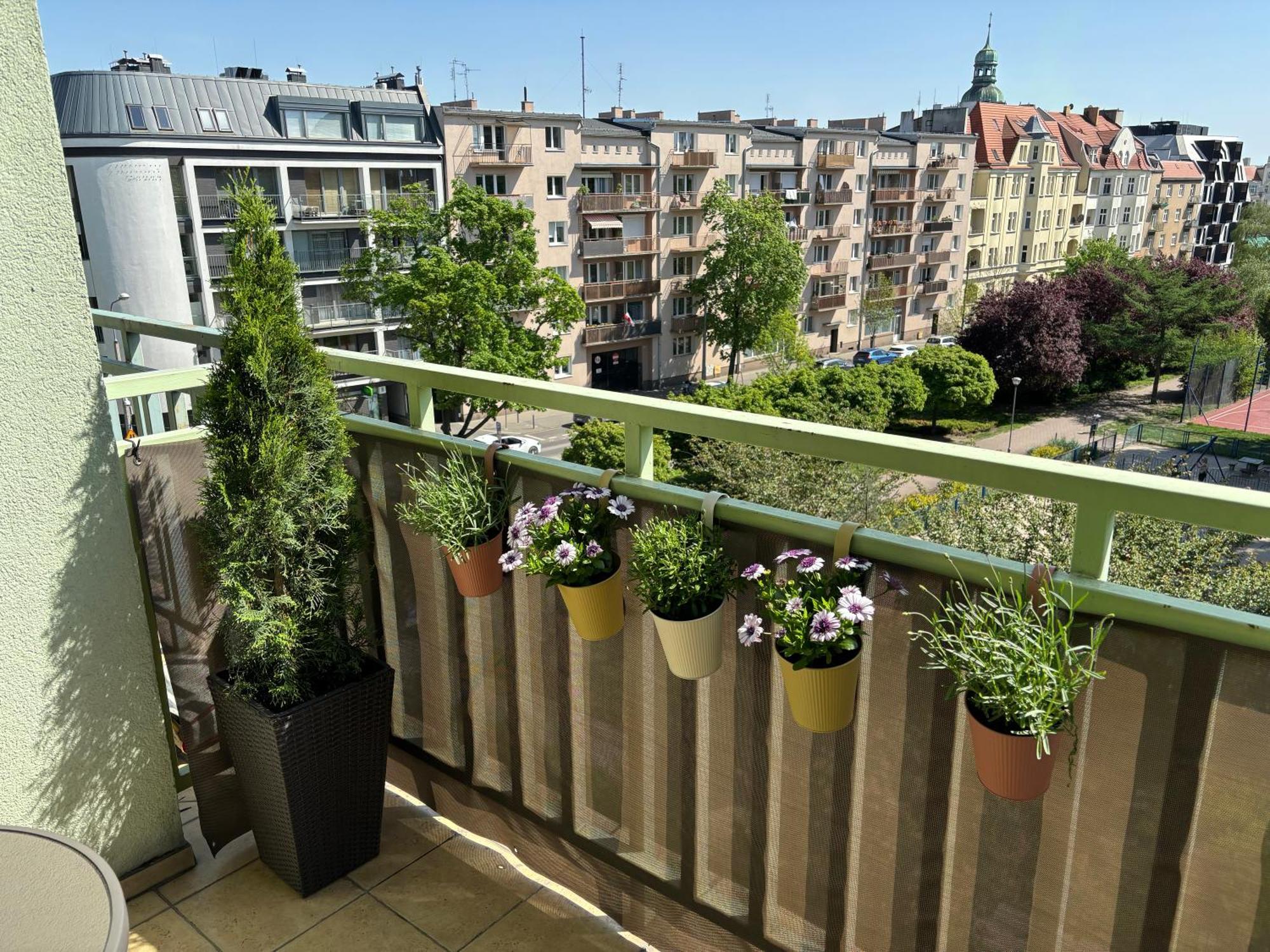 Apartament Wilda Poznań Esterno foto